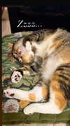 darkstar_mia Altpins Profile Picture