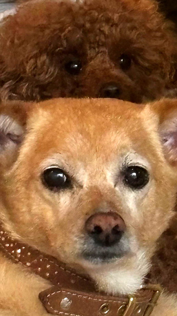 arianagrande instagram image archive image