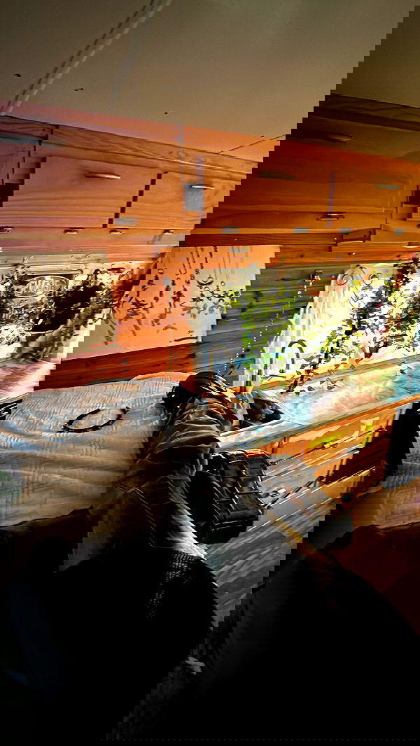 zommmbri zommmbri archive image