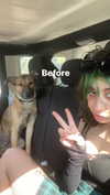 eva.6stuma.com6 Altpins Profile Picture