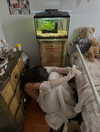 teakitten_ Altpins Profile Picture