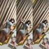 dommymommytiff Altpins Profile Picture