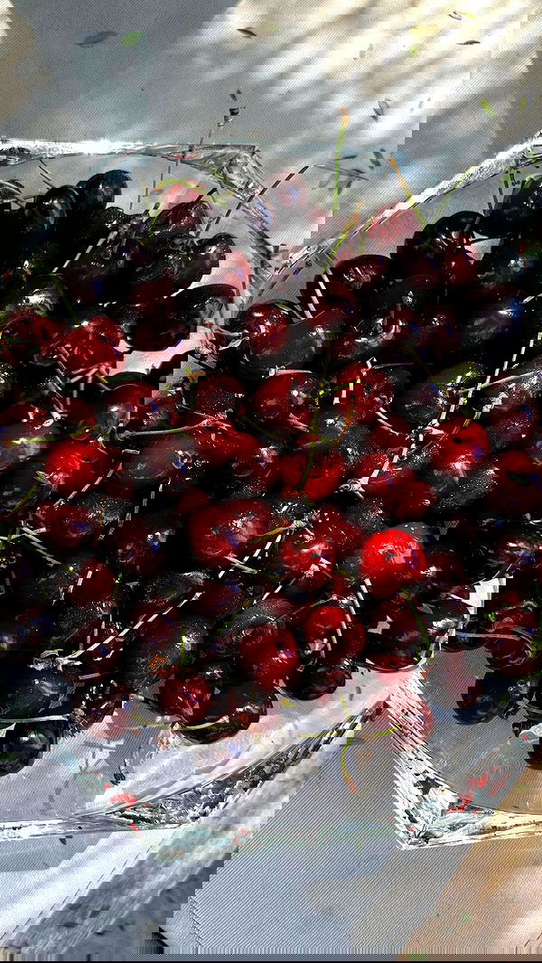 taylor.creeden taylor.creeden archive image