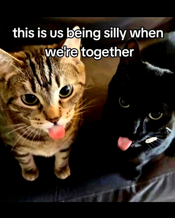 milkiwifey instagram image archive image