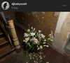 djbabysosh Altpins Profile Picture