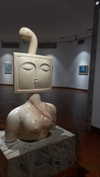 maori_cohen Altpins Profile Picture