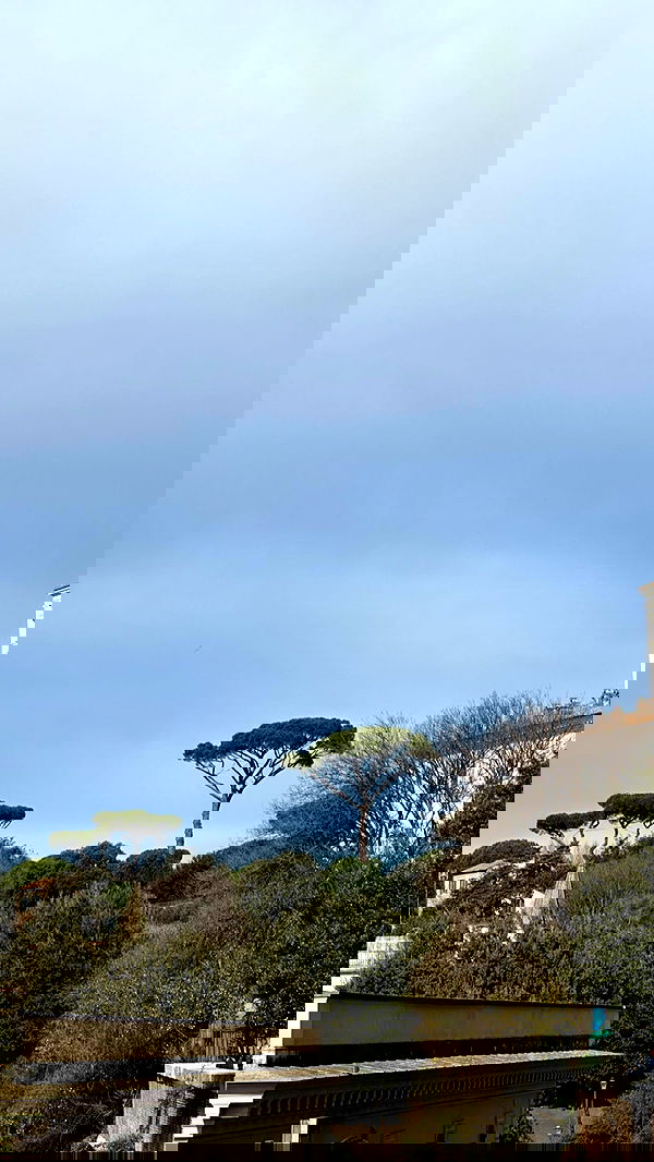 manjolamuriqi manjolamuriqi archive image