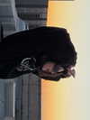 efrat_elmalich Altpins Profile Picture