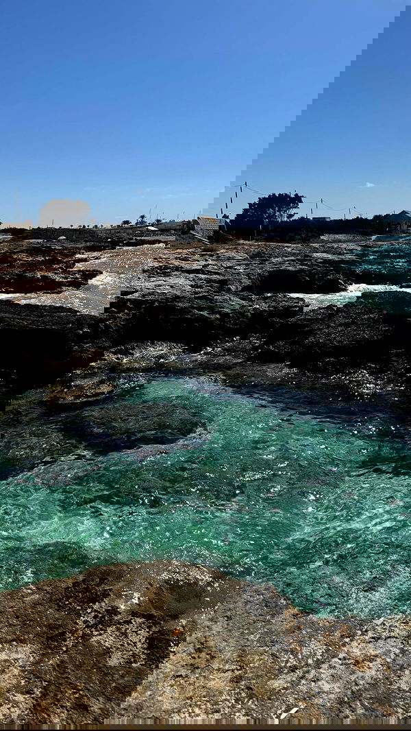 taylor.creeden taylor.creeden archive image