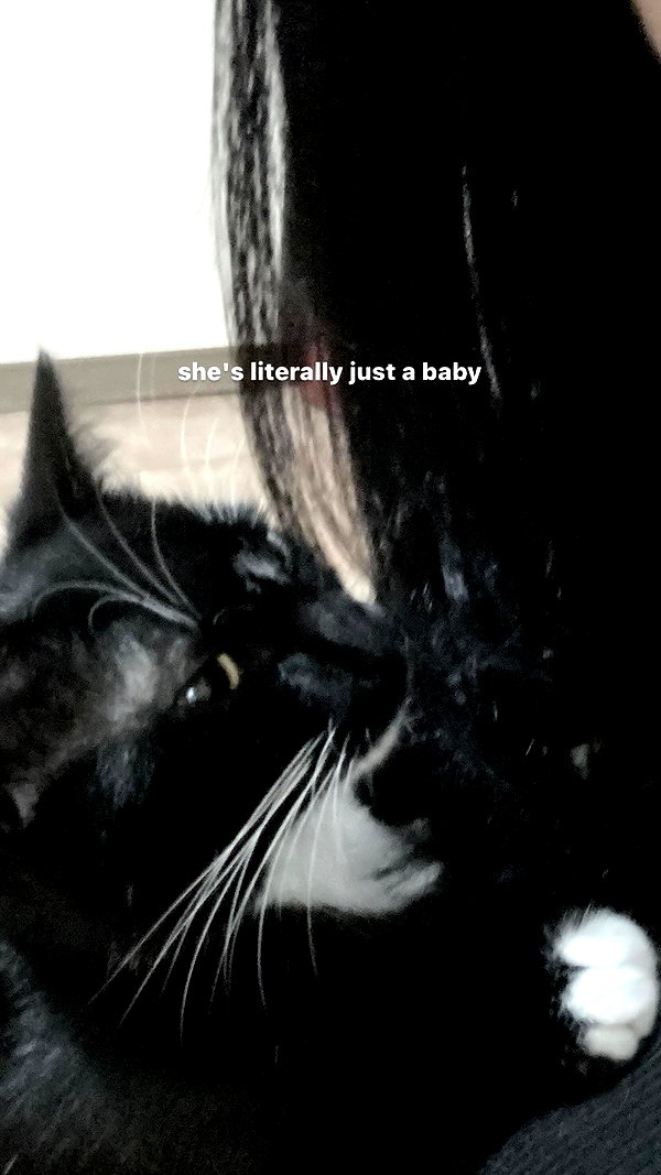 vampiryska instagram image archive image