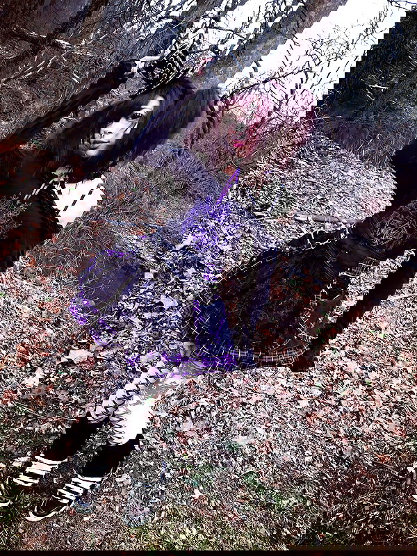 twodollie twodollie archive image