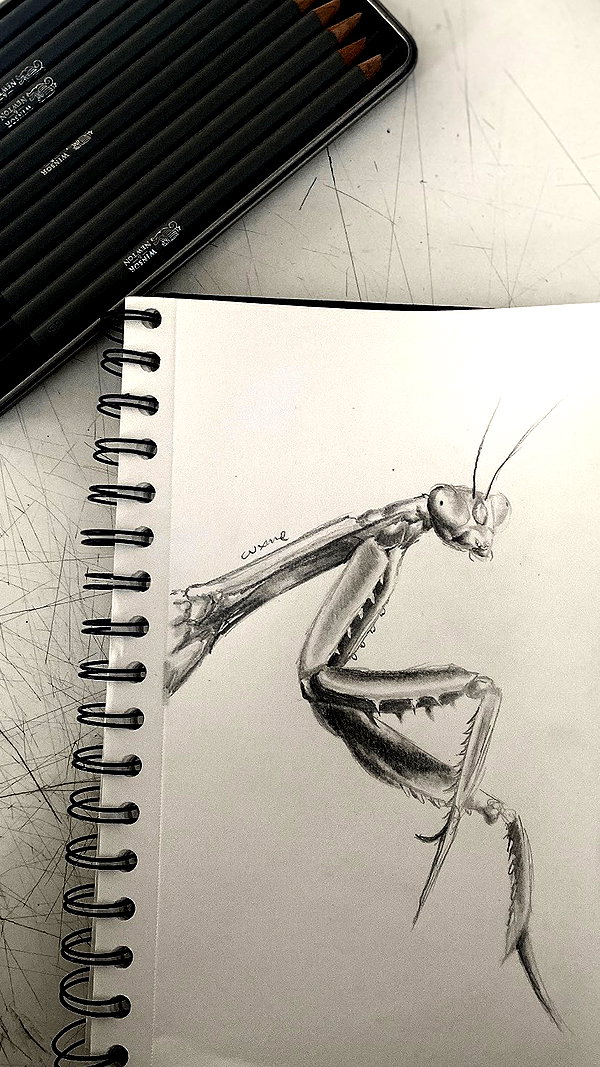 cuxmee instagram image archive image