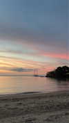 shirakor_ Altpins Profile Picture