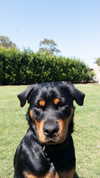 olivia.mathers Altpins Profile Picture
