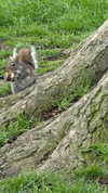 lihi.k_ Altpins Profile Picture