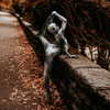 ellianawalmsley Altpins Profile Picture