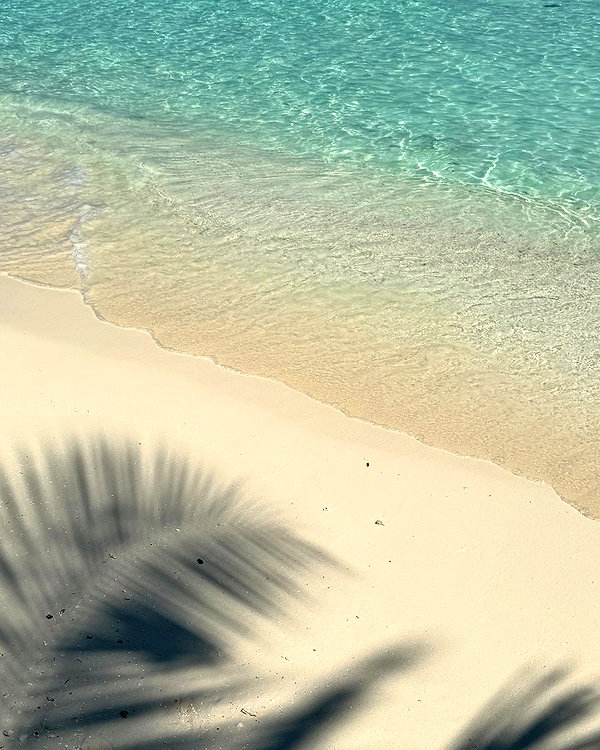 biancanataliie instagram image archive image