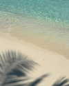 biancanataliie Altpins Profile Picture