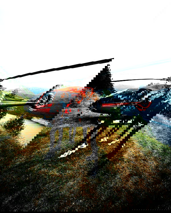 taylor.creeden taylor.creeden archive image