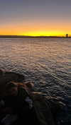 daisy_r_19 Altpins Profile Picture