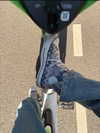 ninastodden Altpins Profile Picture