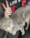 jahia_brown Altpins Profile Picture