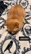 butter.on.a.poptart69 Altpins Profile Picture