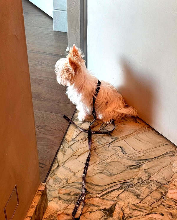 kkwwwv instagram image archive image