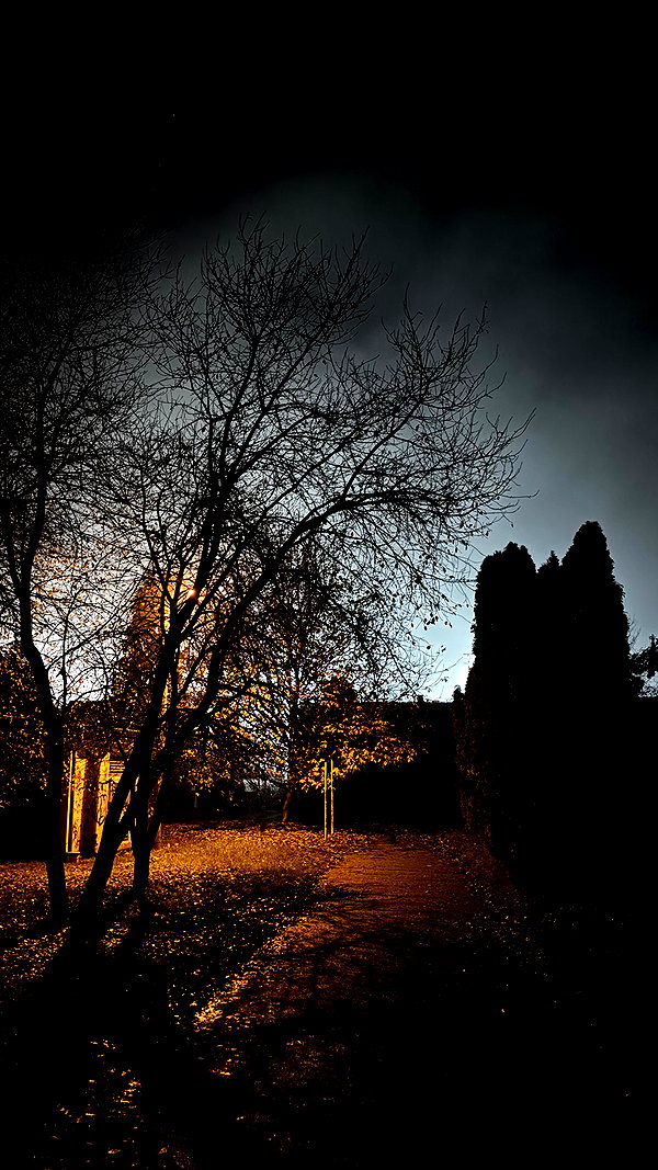 ancideja instagram image archive image