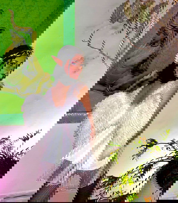 taylor.creeden taylor.creeden archive image