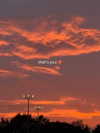 flashyouandme Altpins Profile Picture