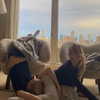 skylasanders Altpins Profile Picture