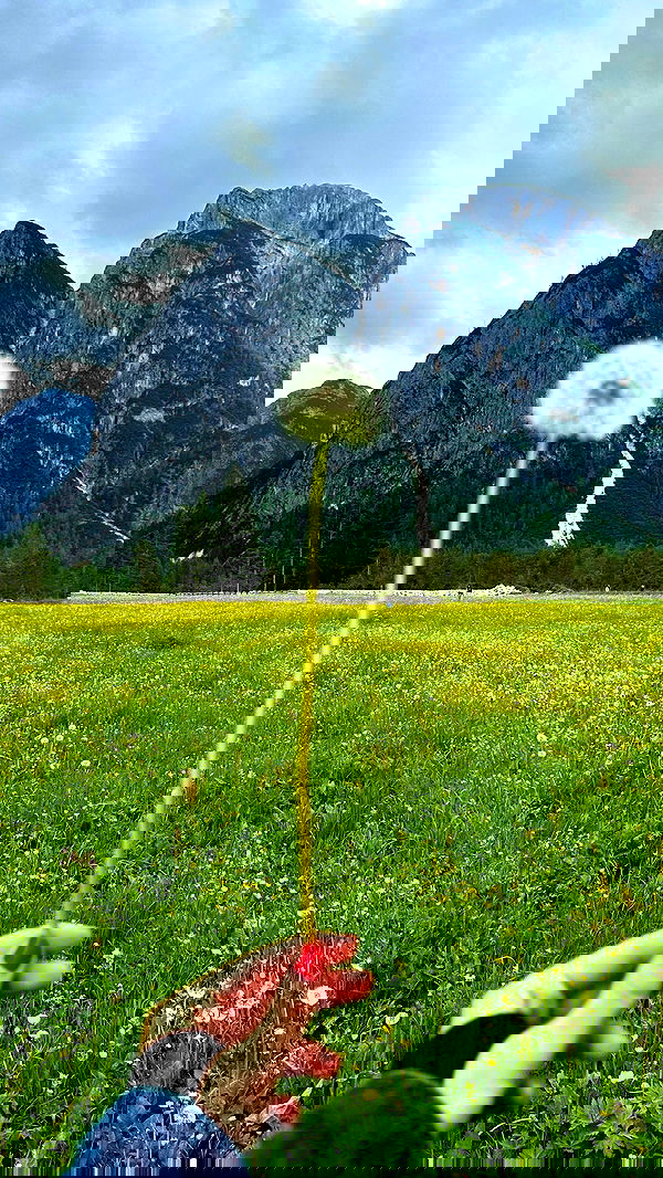 taylor.creeden taylor.creeden archive image