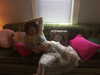 suzynorthway Altpins Profile Picture