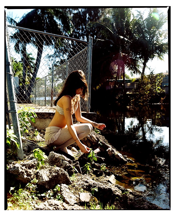 teakitten_ teakitten_ archive image