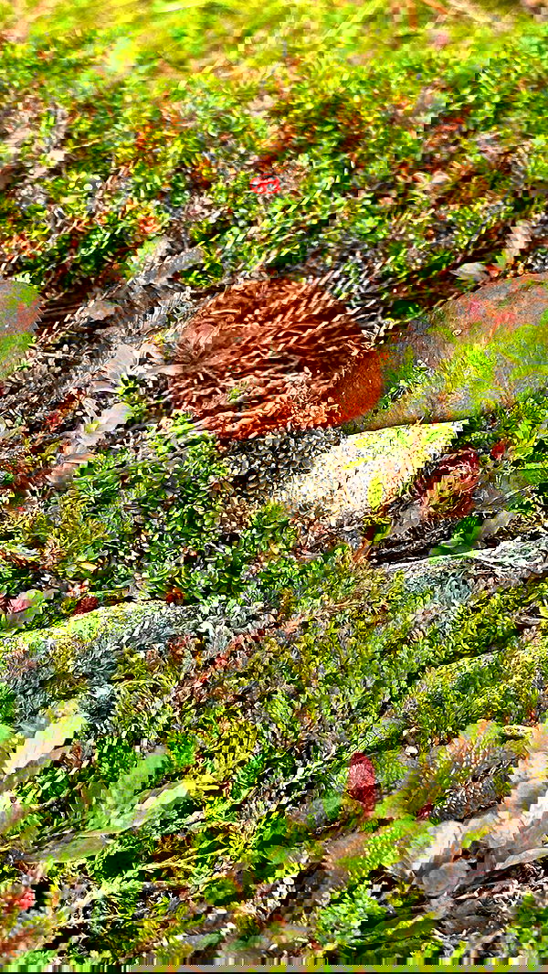 taylor.creeden taylor.creeden archive image