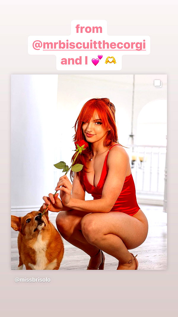 missbrisolo missbrisolo archive image