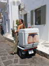 michalcohen___ Altpins Profile Picture
