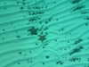 gissell_eli Altpins Profile Picture