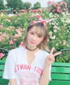 erokochiba Altpins Profile Picture