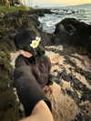 kaniiberry Altpins Profile Picture