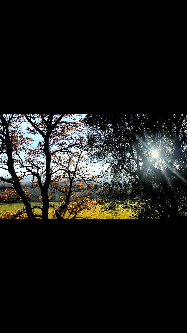 brillacomecamillaa instagram image archive image