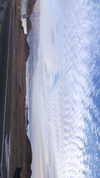 maori_cohen Altpins Profile Picture