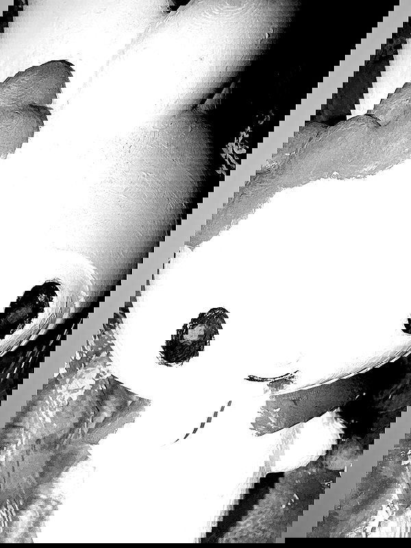 tutiiiiii666 tutiiiiii666 archive image