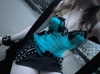 ash.onme Altpins Profile Picture