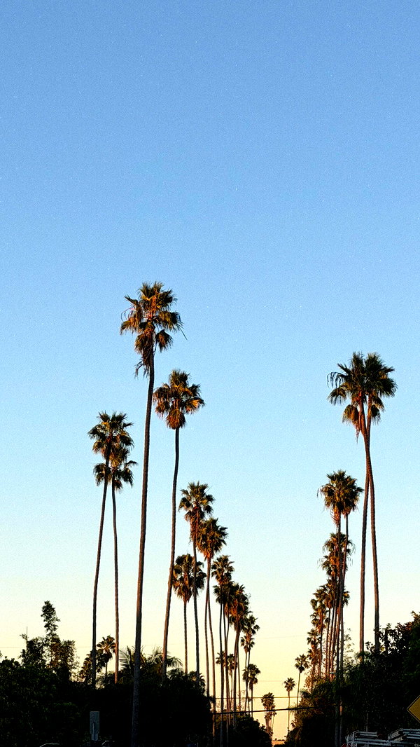 emelyeender instagram image archive image