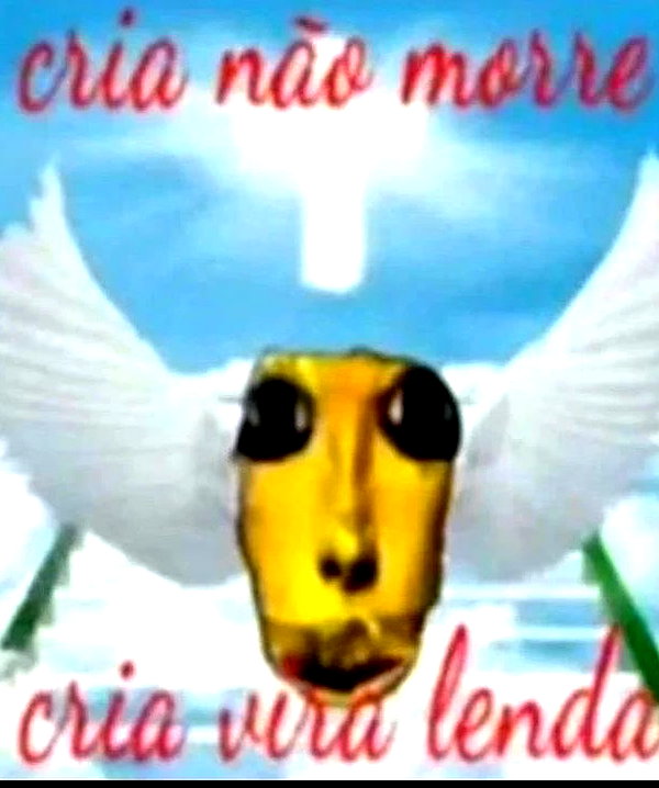 ambrzinha666 instagram image archive image