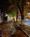 owlydiaa Altpins Profile Picture