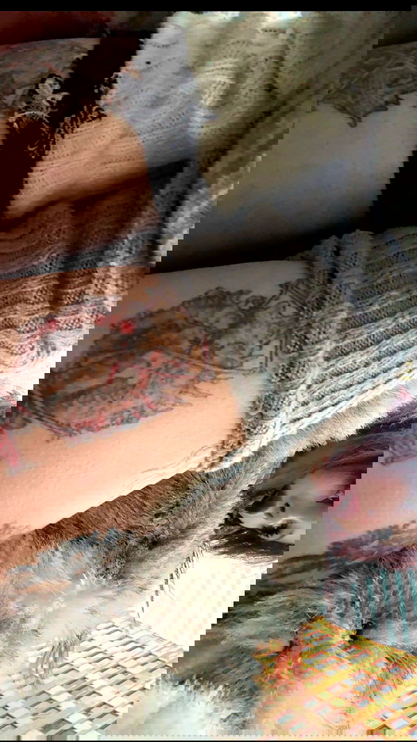 zommmbri zommmbri archive image