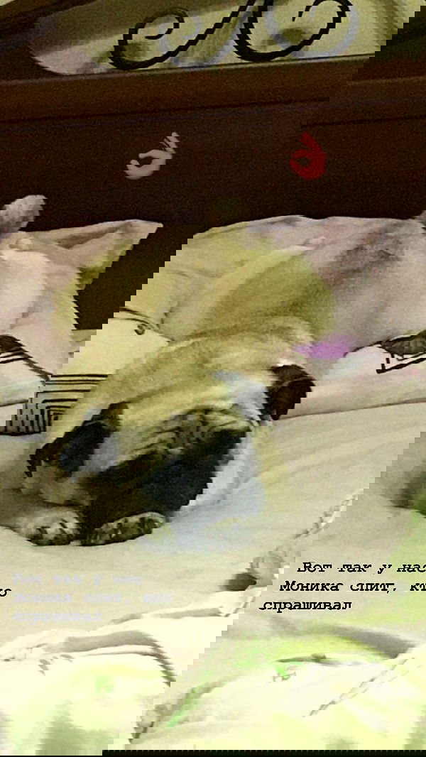 nyityam nyityam archive image